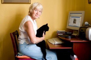 black cat computer web