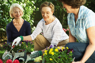 gardening_ladies - Maine Senior Guide